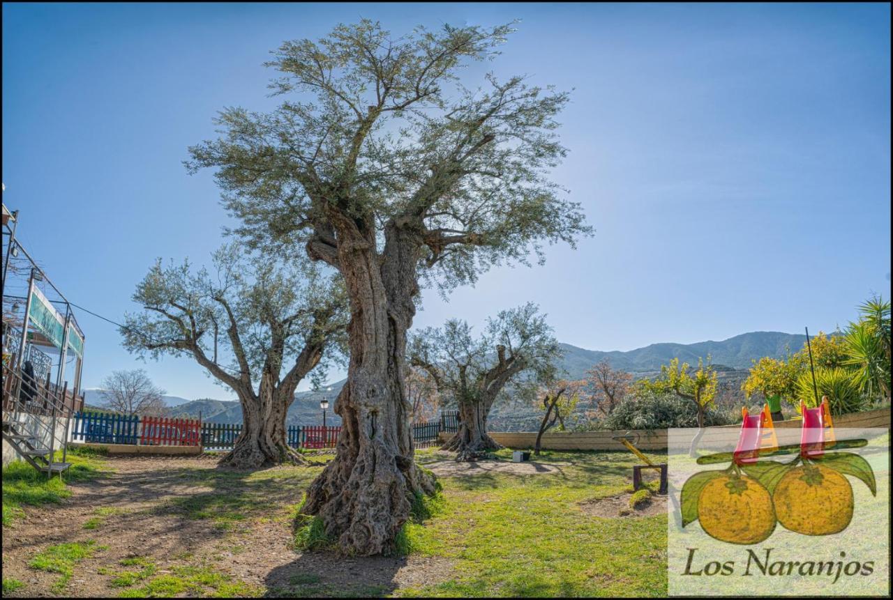 Hostal Y Apartamento Rural Los Naranjos Melegis Luaran gambar