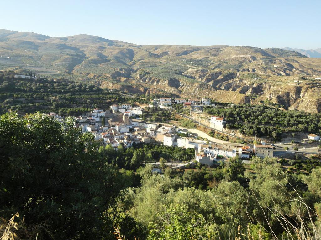 Hostal Y Apartamento Rural Los Naranjos Melegis Bilik gambar