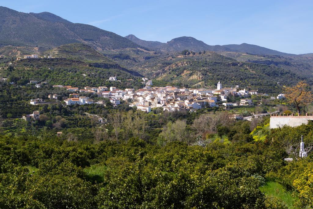 Hostal Y Apartamento Rural Los Naranjos Melegis Bilik gambar