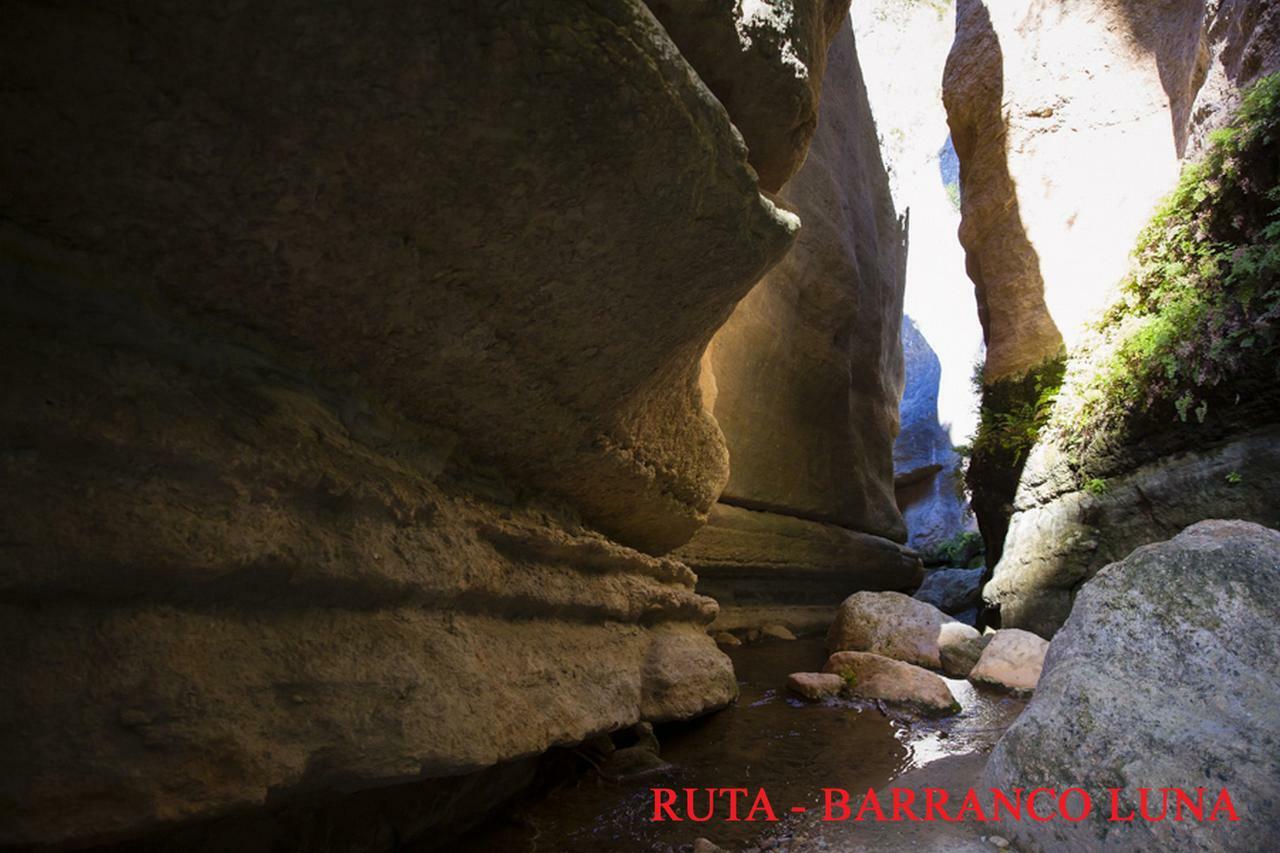 Hostal Y Apartamento Rural Los Naranjos Melegis Bilik gambar
